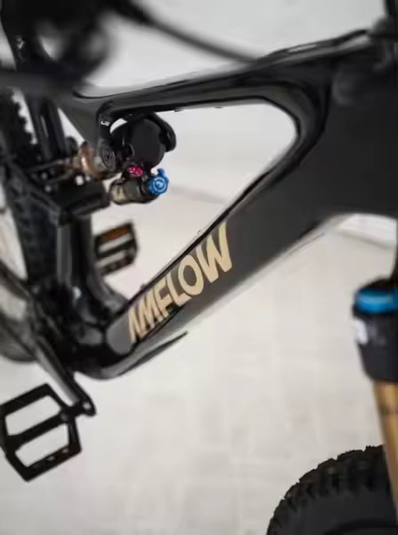 Amflow E Bike Amflow Pl 600Wh 800 Wh-L with Djl Aviox 508W Fast Charge Charger Amflow