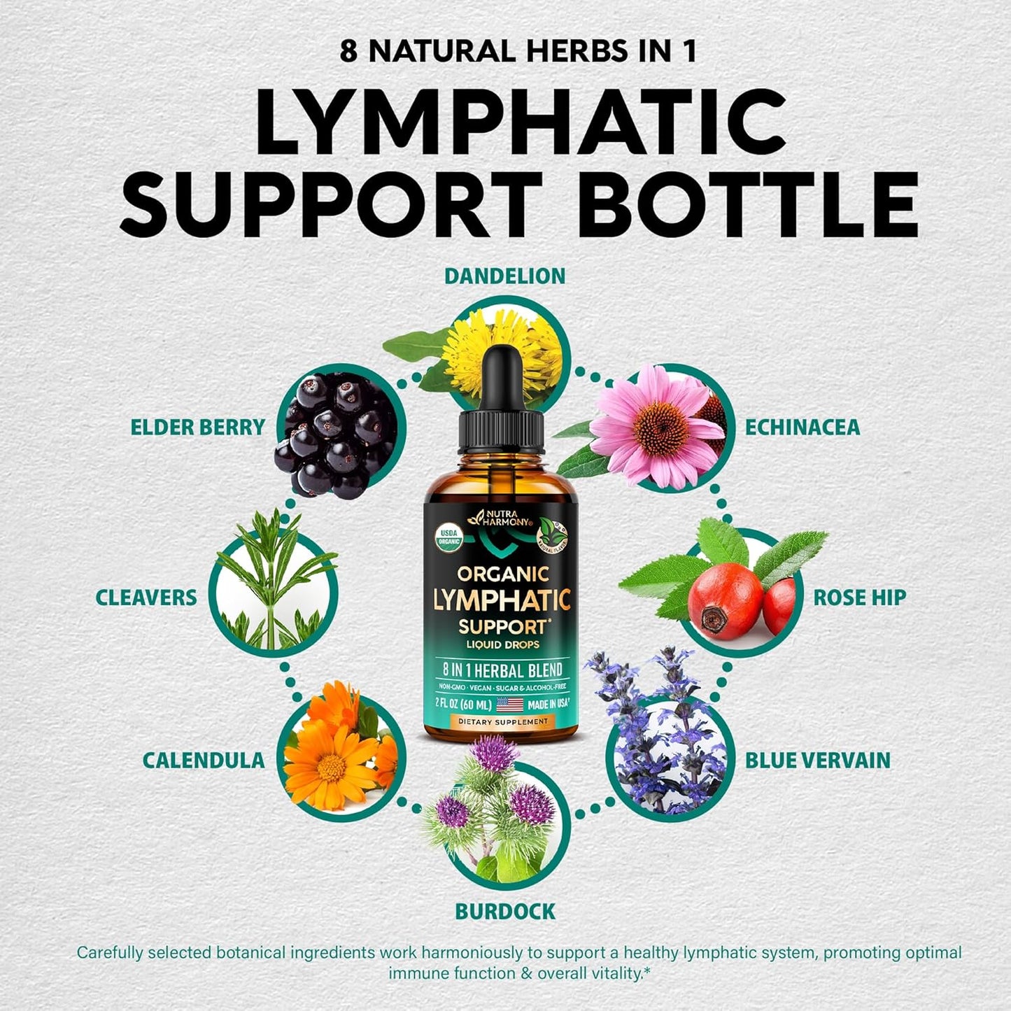 USDA Organic Lymphatic Drainage Supplement - Echinacea | Elderberry | Dandelion | Rosehip | Cleavers | Calendula | Burdock - Made in USA - Lymph System Drops - Immune Support, Cleanse & Detox, 2 Fl Oz TLBH