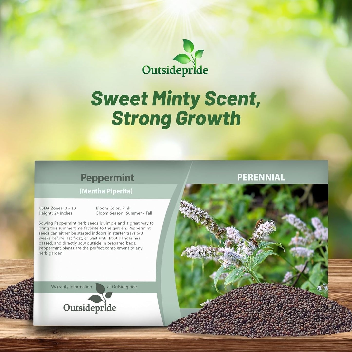 1000 Seeds Perennial Mentha Piperita Peppermint Herb Garden Seed for Planting TLBH