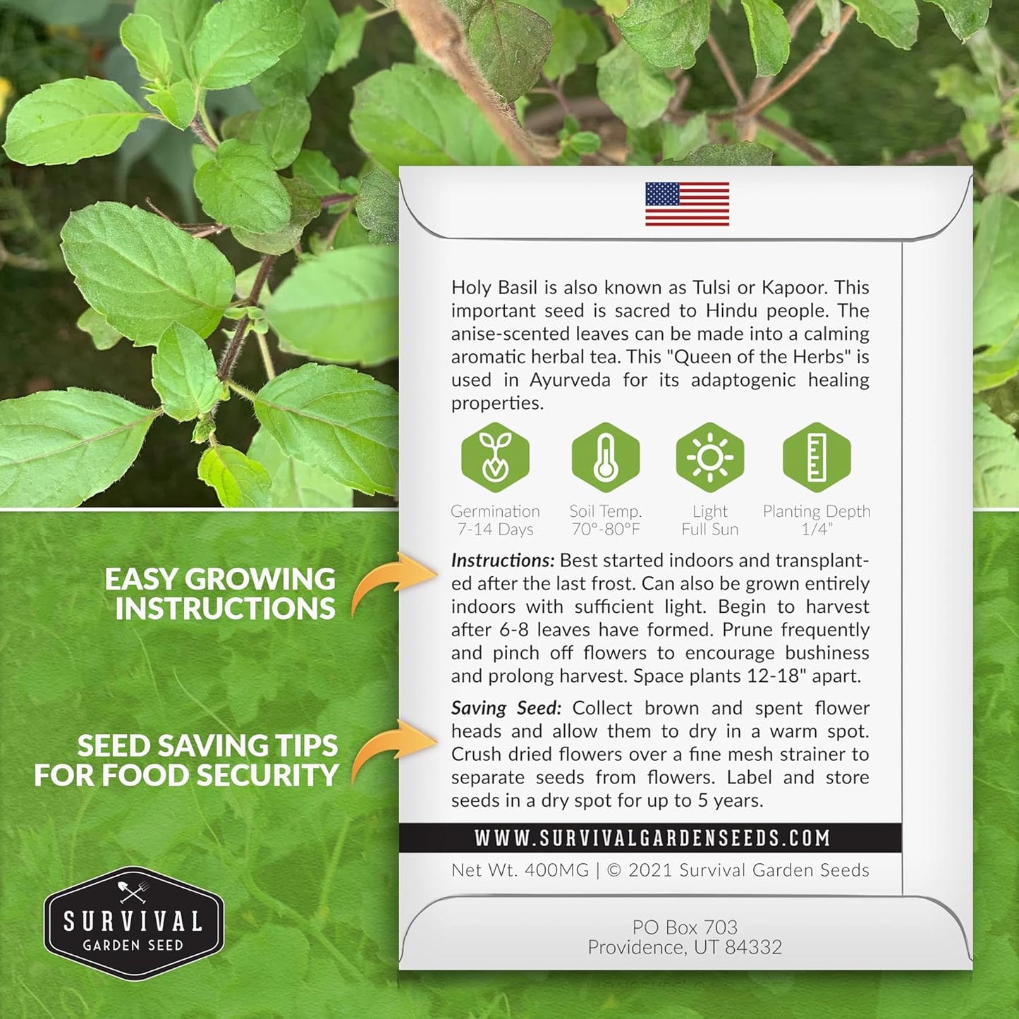 - Holy Basil Seed for Planting - Packet with Instructions to Plant and Grow the Indian Sacred Herb Tulsi in Your Home Vegetable Garden - Non-Gmo Heirloom Variety - Indian Herb TLBH