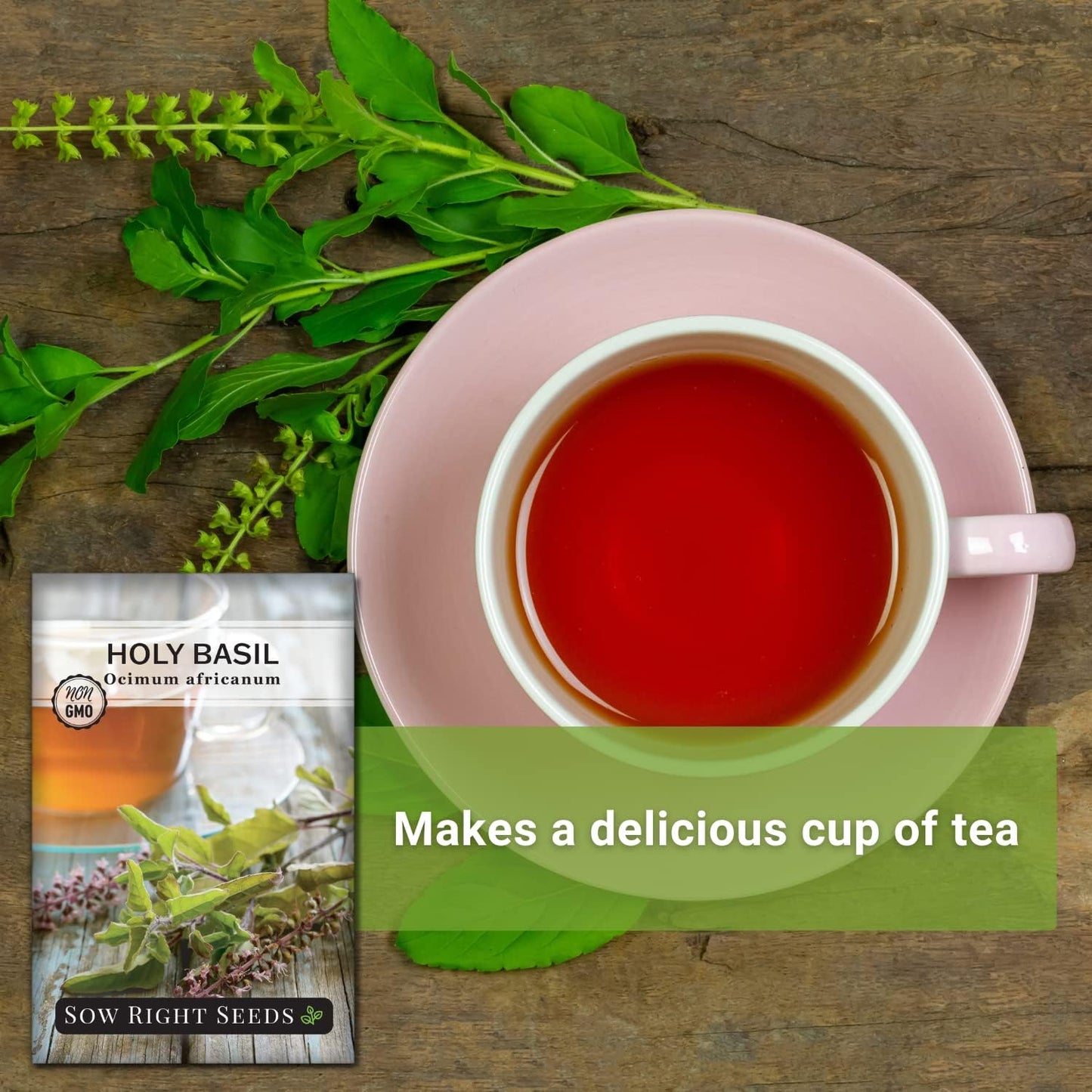 - Holy Basil Tulsi Seed for Planting - Culinary Herb to Plant in Your Garden - Indoors or Outdoors - Ayurvedic Medicine and Tea - Non-Gmo Heirloom Seeds - Great Gardening Gift (1) TLBH