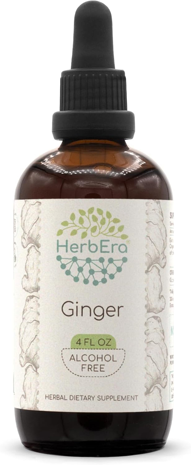 Ginger B60 Alcohol-Free Herbal Extract Tincture, Super-Concentrated Ginger (Zingiber Officinale) 2 Fl Oz TLBH