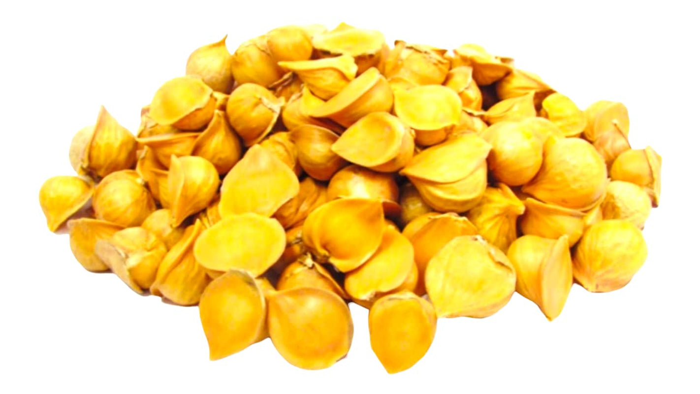 - Japanese Garlic | Ajo Japones ( Allium Sativum ) 780+ Garlic Cloves | 2 LB (915 Gr) | Premium Quality, Stand Alone Resealable Bag Keeps Garlic Always Fresh! Crafted by Nature100% All Natural Big Size Garlic Cloves TLBH