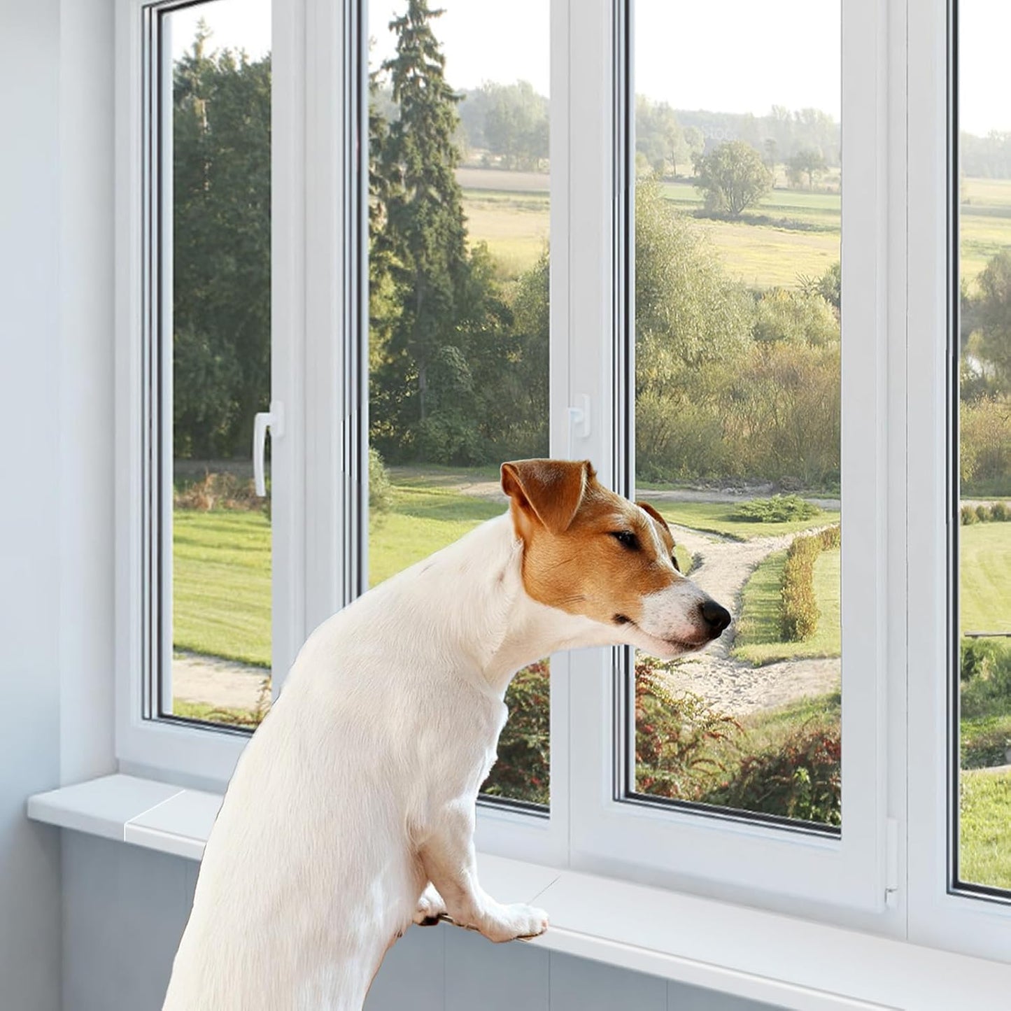 6 Pcs Total Length 71'' X 3.25'' Width Clear Pet Window Sill Protector from Dog Cat Scratching Strong Transparent Protection against Claw Chewing on Window Sills,Keep Paws Safe and Home Clean