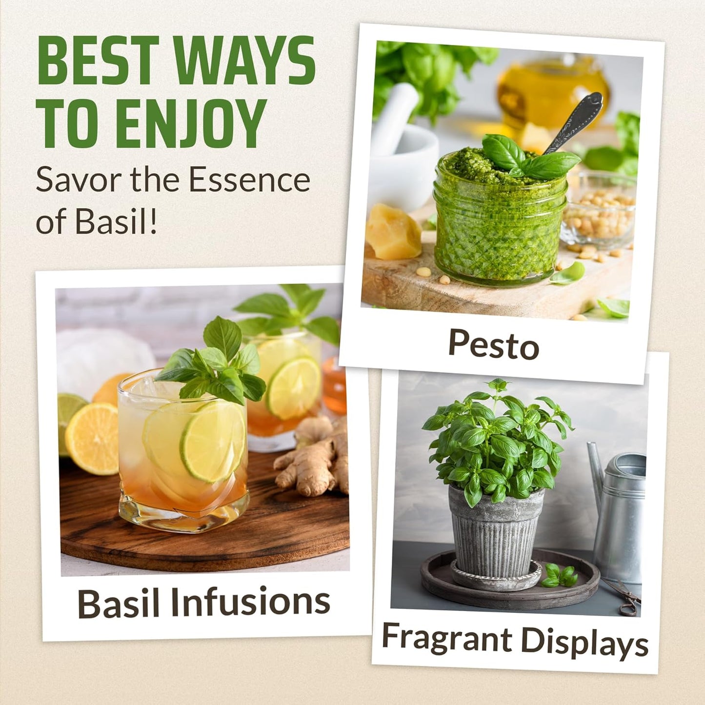 8 Basil Seeds Pack - 4000 High Germinating Fresh Basil Seeds - Thai, Genovese, Lemon, Tulsi Holy Basil, & More Culinary Herb Seeds - Non GMO, USA Heirloom Basil Seeds for Planting TLBH