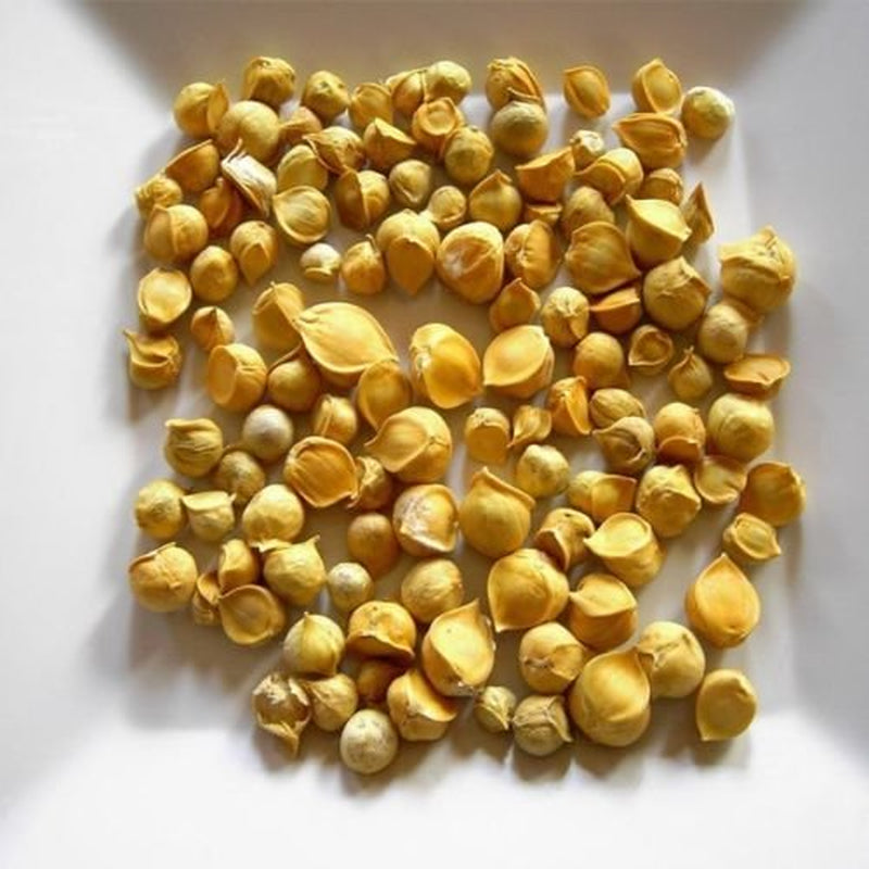 Snow Mountain Garlic Allium Sativum Kashmiri Whole 50Grams TLBH