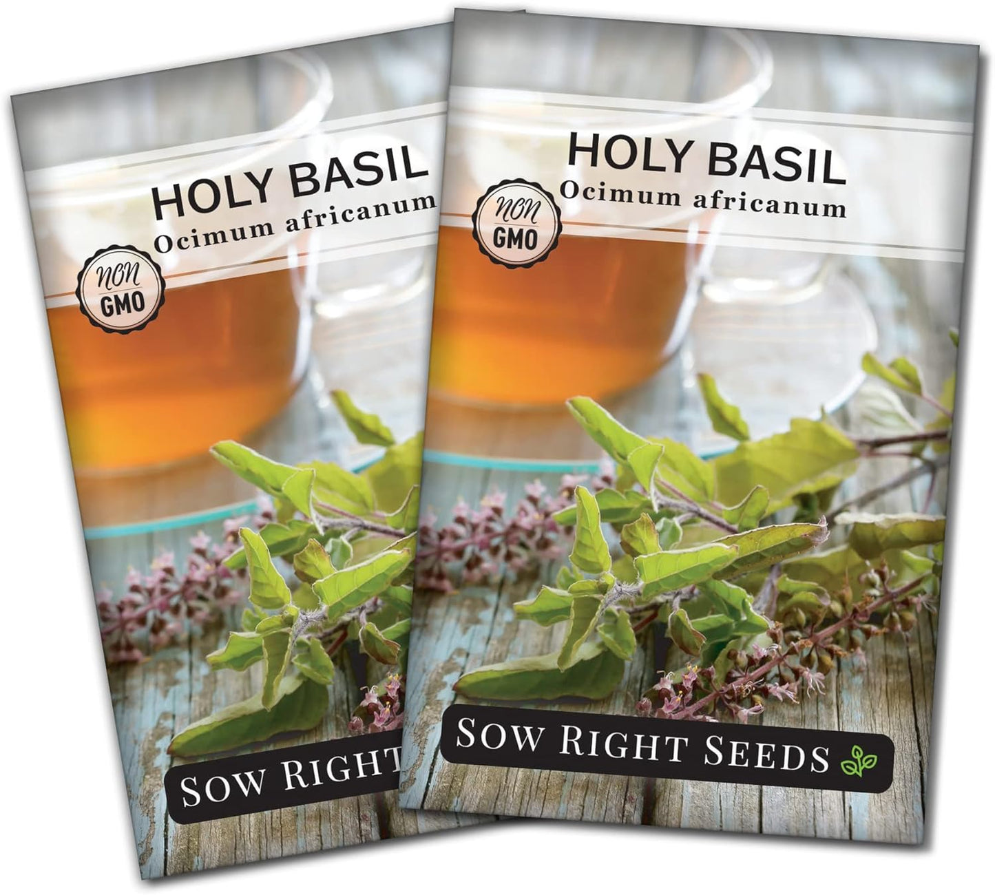 - Holy Basil Tulsi Seed for Planting - Culinary Herb to Plant in Your Garden - Indoors or Outdoors - Ayurvedic Medicine and Tea - Non-Gmo Heirloom Seeds - Great Gardening Gift (1) TLBH