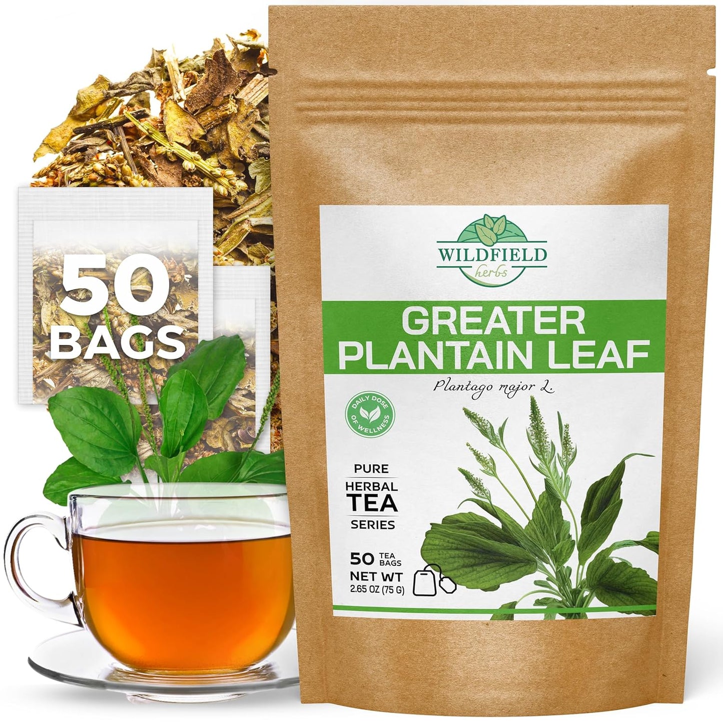 100 Bags Ginger Tea Bags Ginger Root Tea Dry Dried Herb (Zingiber Officinale) - 100 Count 1.5G Tea Bags Ginger Raíz De Jengibre TLBH