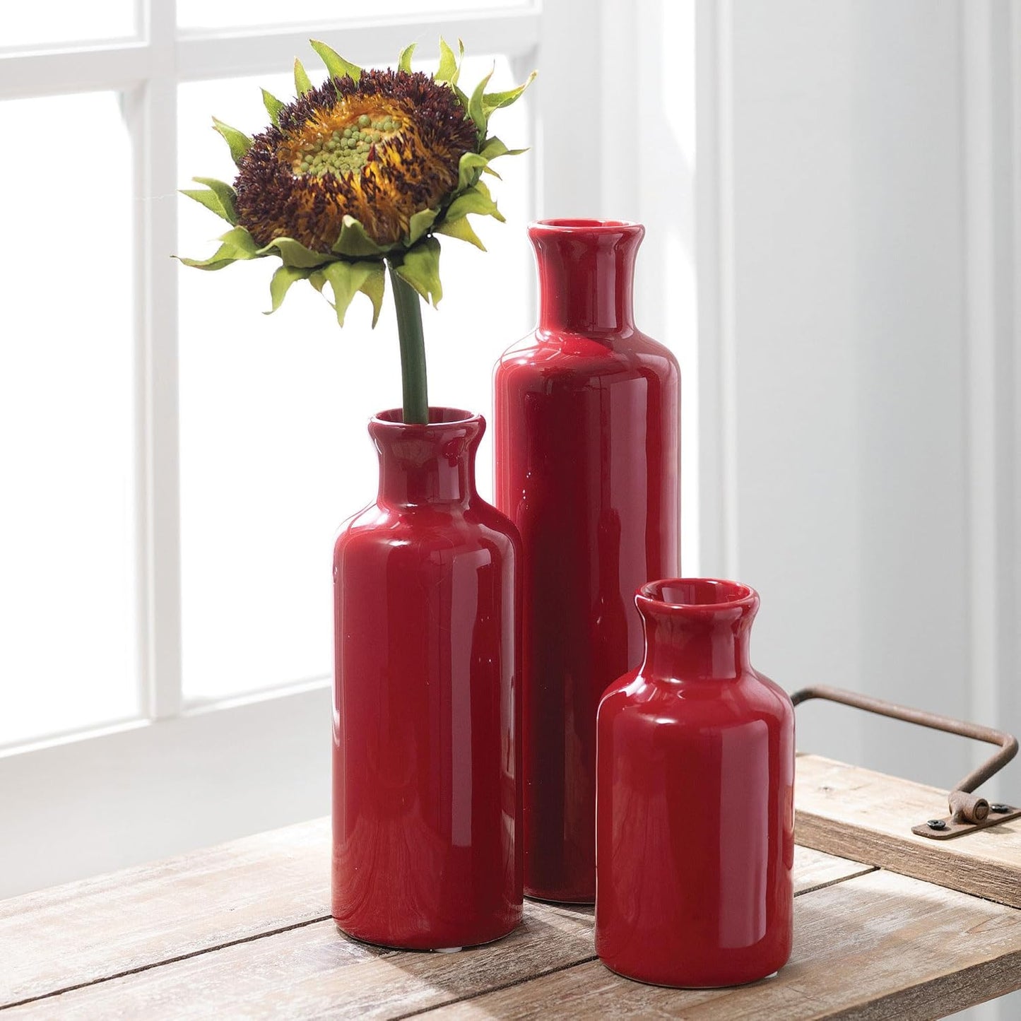 Vase Set, Farmhouse Decor, Aesthetic Room Decor, Boho Decor, Vases for Your Kitchen, Bedroom, Office, Living Room & Bathroom, Shelf Decor, Centerpiece Table Decorations, Red Vases (CM2407)