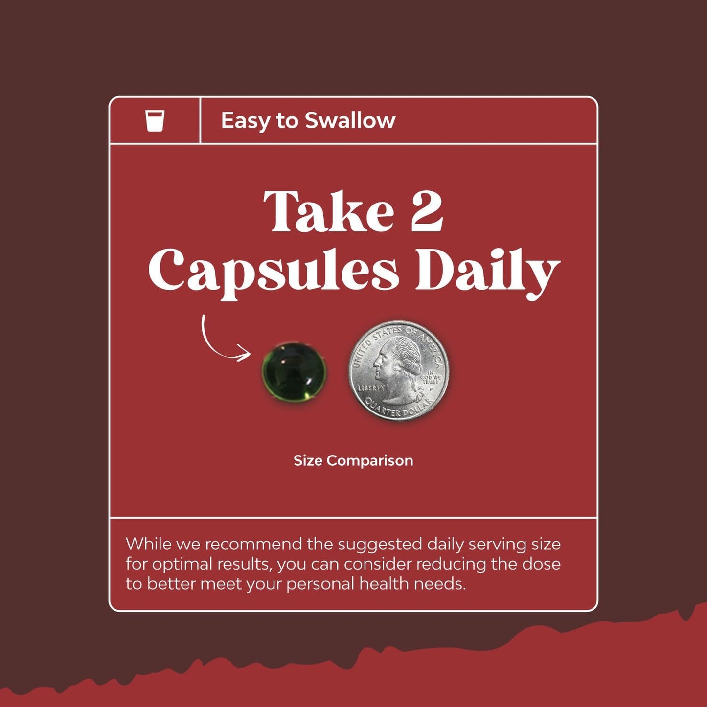 Super Concentrated Odorless Garlic Supplement - No Smell Easy to Swallow Antioxidant Garlic Pills for Immune Support and Heart Health - Odorless Softgels with Parsley Non GMO and Gluten Free TLBH