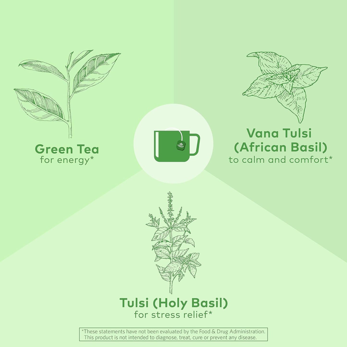 Tulsi Green Tea Bags - Holy Basil Tea, African Basil, Stress Relieving, Immune Support, USDA Certified Organic, Premium Darjeeling Green Tea, Caffeinated - 18 Infusion Bags, 1 Pack TLBH