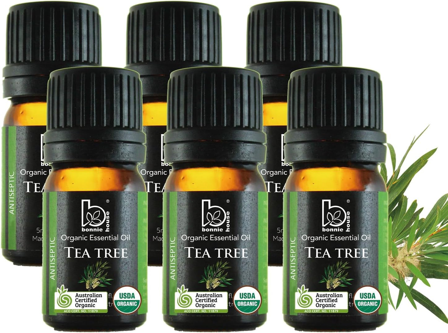 Organic Patchouli Essential Oil - USDA Organic, 100% Pure, Therapeutic Grade for Aromatherapy, Skin Care, Diffuser - 10Ml Oil by B TLBH