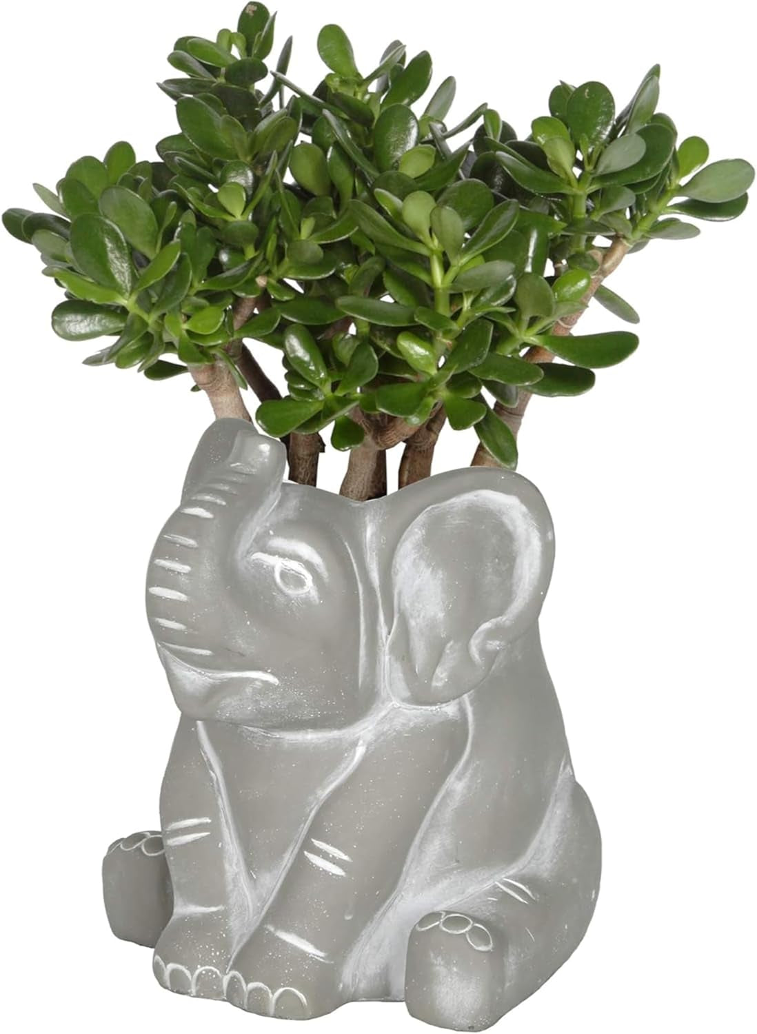 Cement Buddies Indoor or Outdoor Planter with Drainage Hole, Elephant, Small, Natural Gray, 6.5In