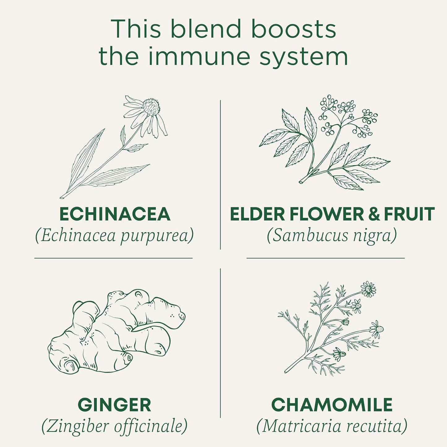 Tea, Organic Echinacea plus Elderberry, Boosts the Immune System, 16 Tea Bags TLBH