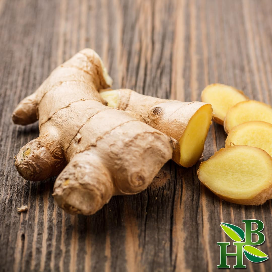 Ginger Root C/S | Cut & Sifted | Zingiber Officinale | Wildcrafted | 4Oz TLBH