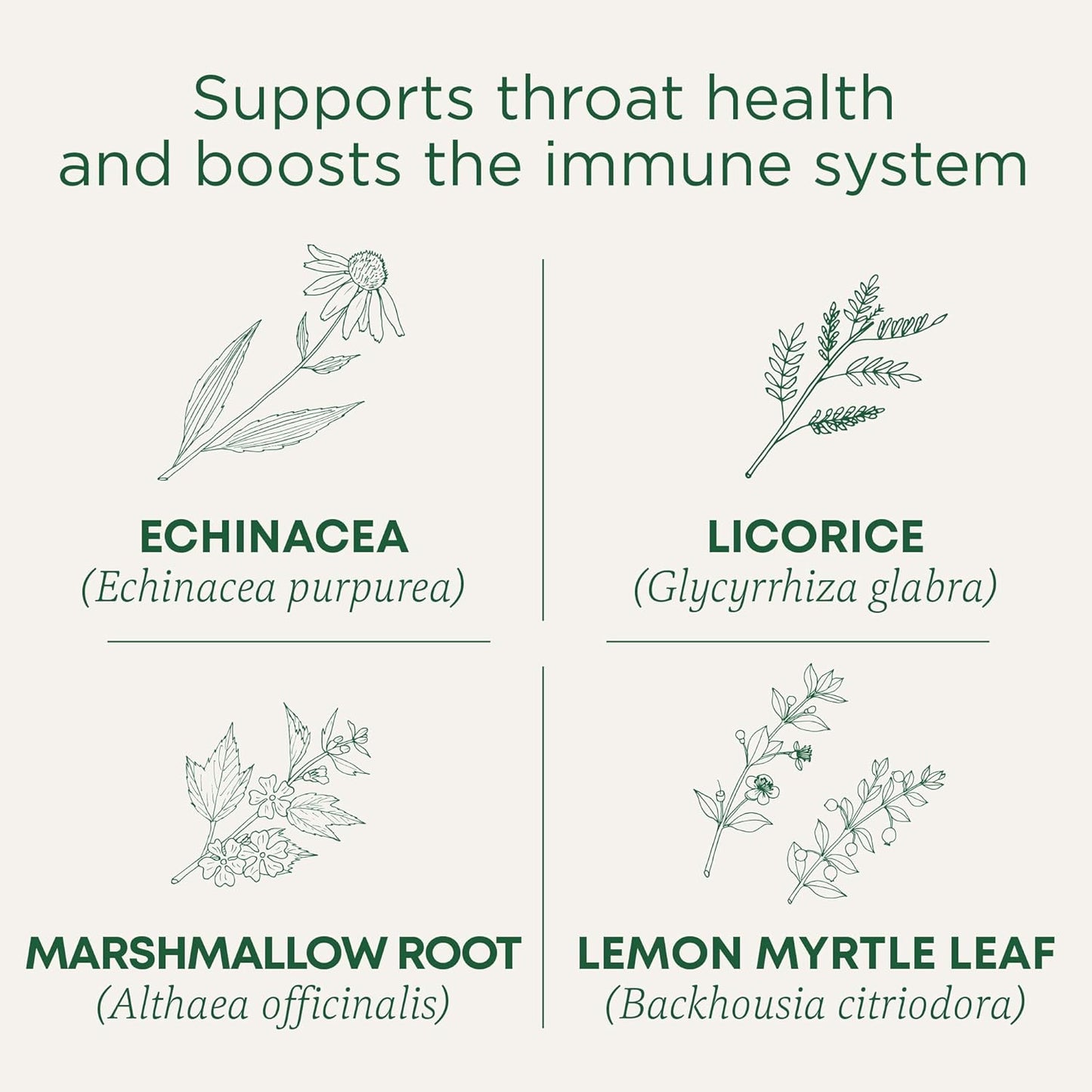 Tea, Organic Throat Coat Lemon Echinacea, Supports Throat Health & Immune Fuction, 16 Tea Bags TLBH