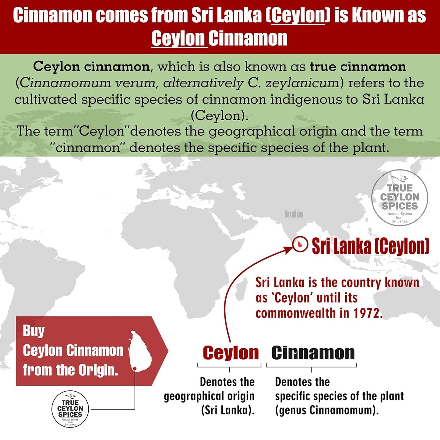 True Ceylon Alba Cinnamon Sticks, Organic Inner Bark Only, Fresh Crop by a Sri Lankan Farmer, 135G (40-50 Nrs. of 4” Long Sticks), Cinnamomum Zeylanicum (Verum), Light Brown TLBH