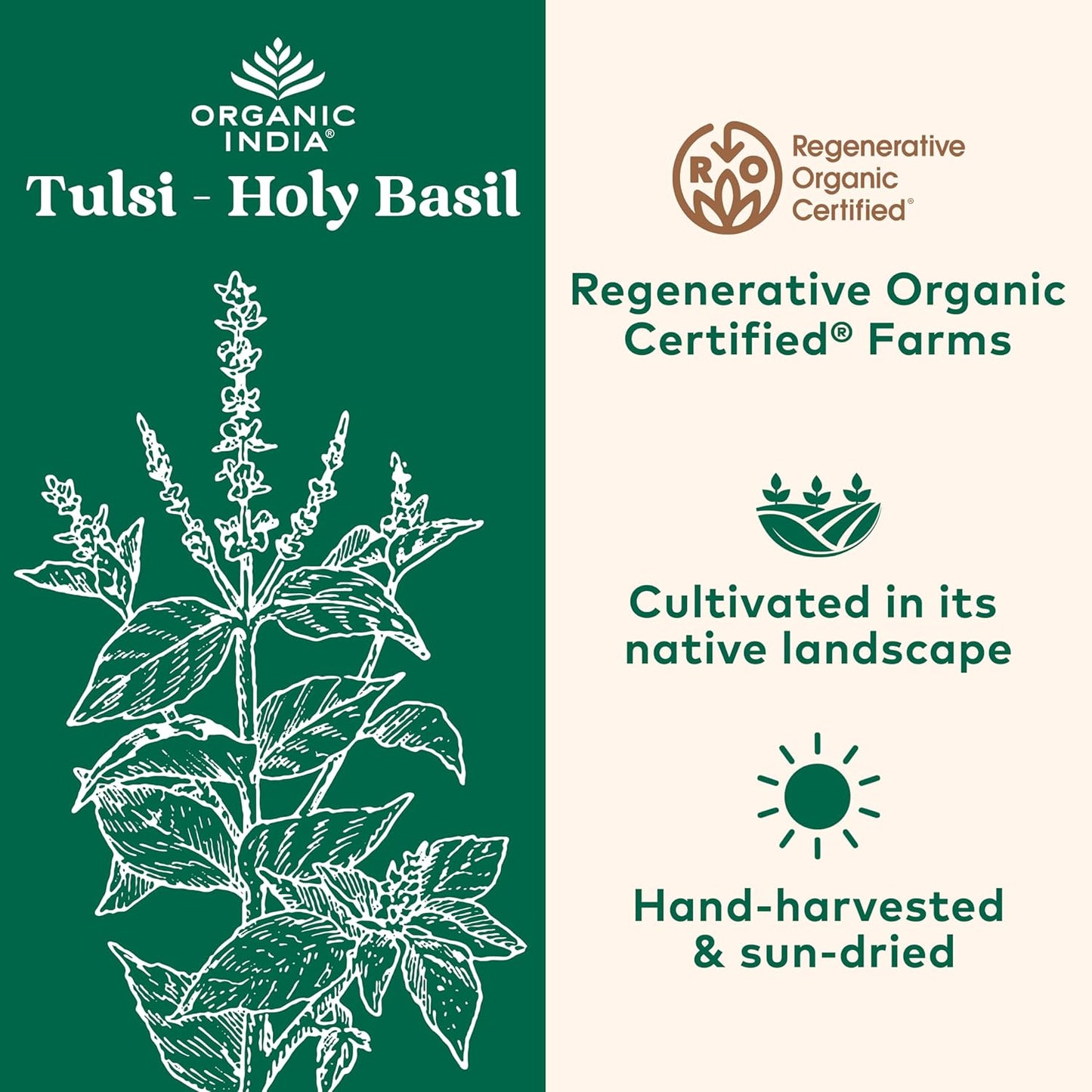 Tulsi Mix, 1 Pound TLBH
