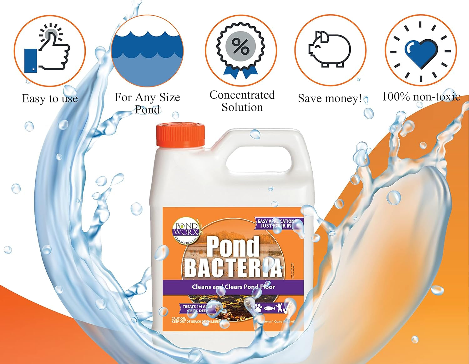 Pondworx Pond Bacteria - Concentrated & Formulated for Large Ponds, Water Features - Safe for Koi - 32Ounes & Treats up to a Quarter Acre Pond