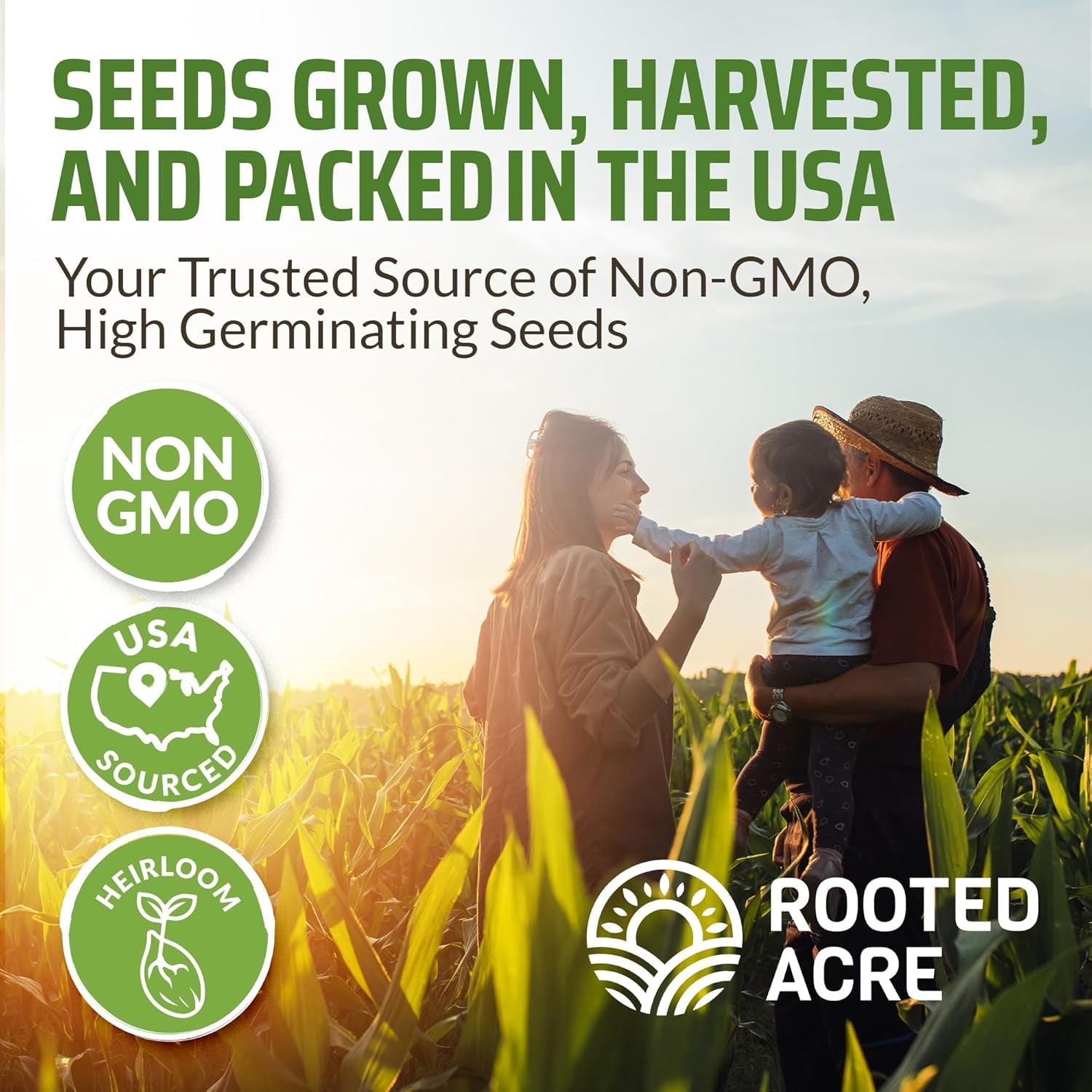 8 Basil Seeds Pack - 4000 High Germinating Fresh Basil Seeds - Thai, Genovese, Lemon, Tulsi Holy Basil, & More Culinary Herb Seeds - Non GMO, USA Heirloom Basil Seeds for Planting TLBH