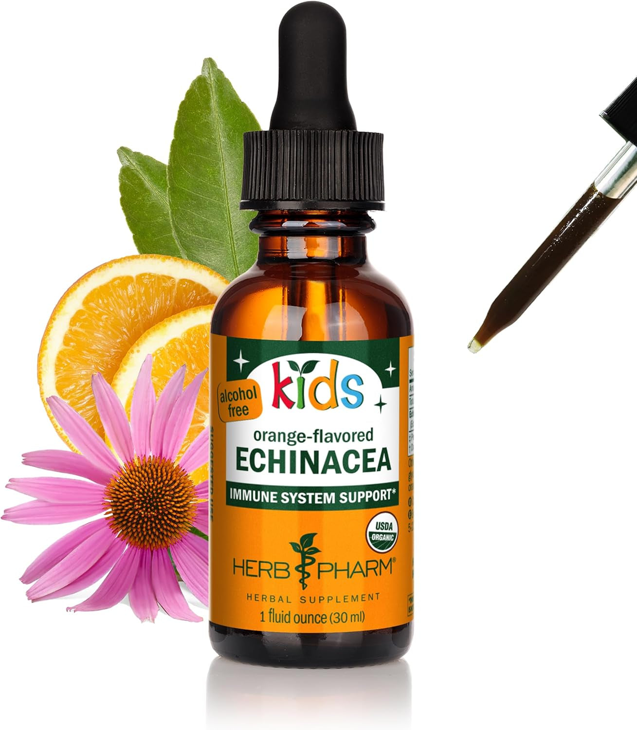 Kids Certified-Organic Alcohol-Free Echinacea Glycerite Liquid Extract, 1 Ounce TLBH