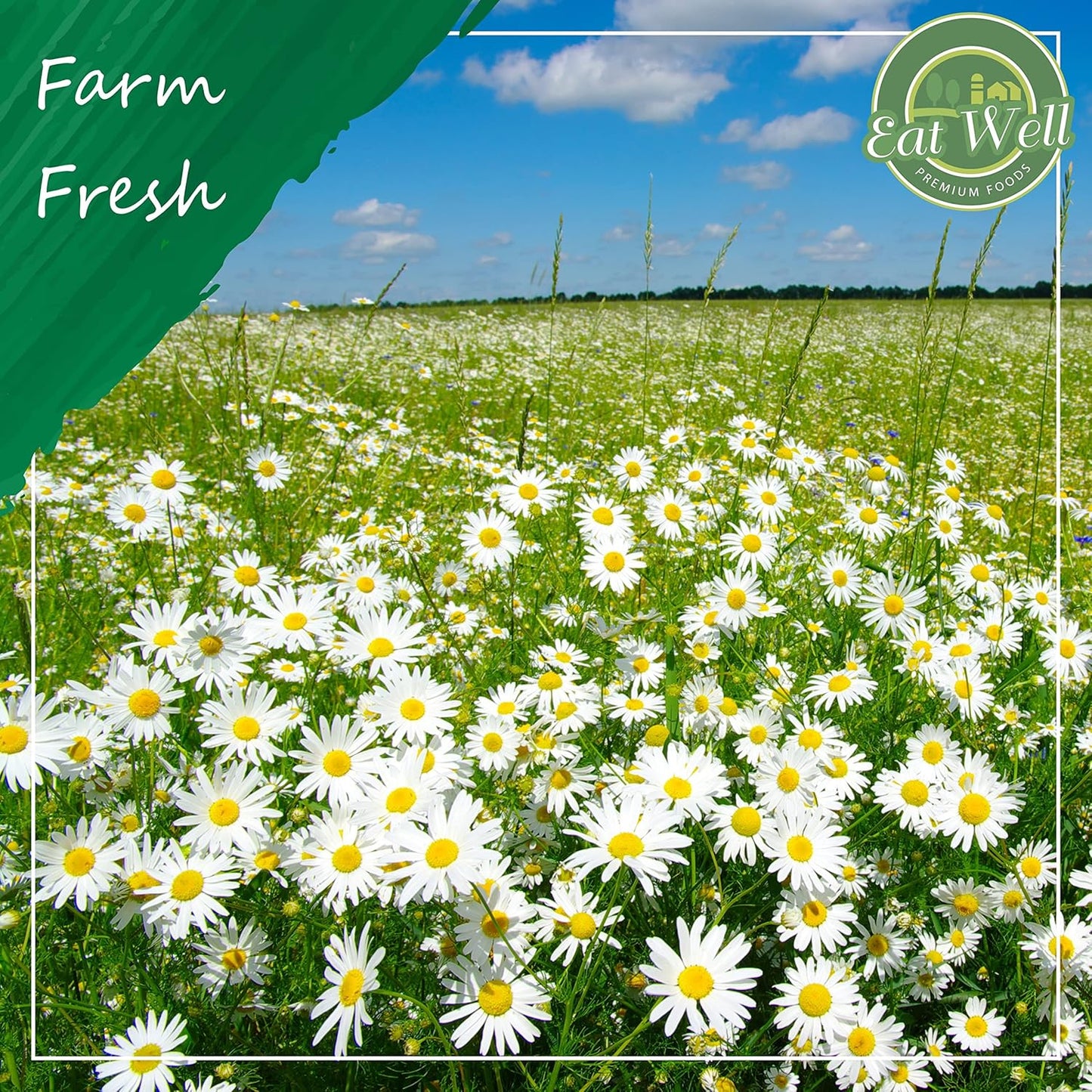 Chamomile Flowers 4 Oz, Dried Chamomile Tea Loose Leaf, Edible Culinary Camomile Herb for Drinking and Cooking, Versatile Camomile Dried Herbs and Flowers in Resealable Bag TLBH