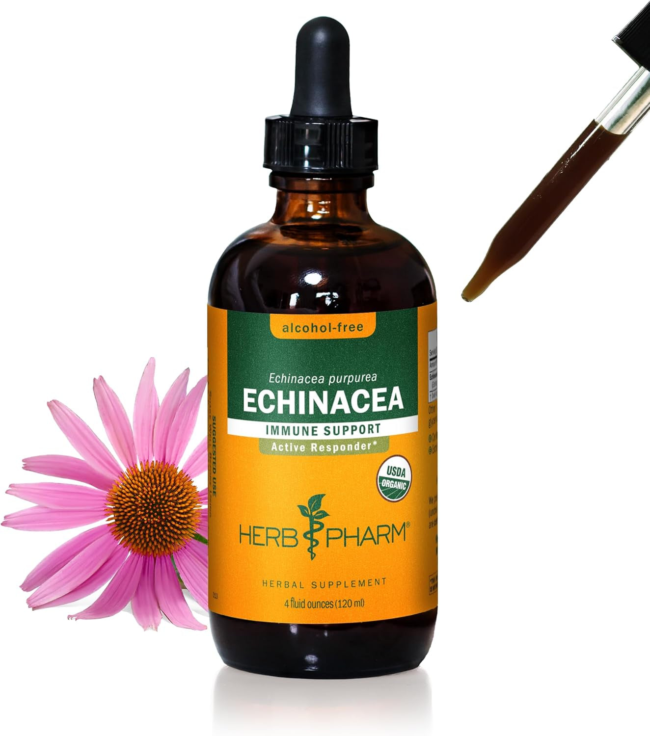 Organic Echinacea Root Extract, Alcohol-Free: Immune System Support for All Seasons, Fast-Acting Echinacea Plant Supplement, Non-Gmo, Vegan & Gluten-Free, 1 Oz TLBH