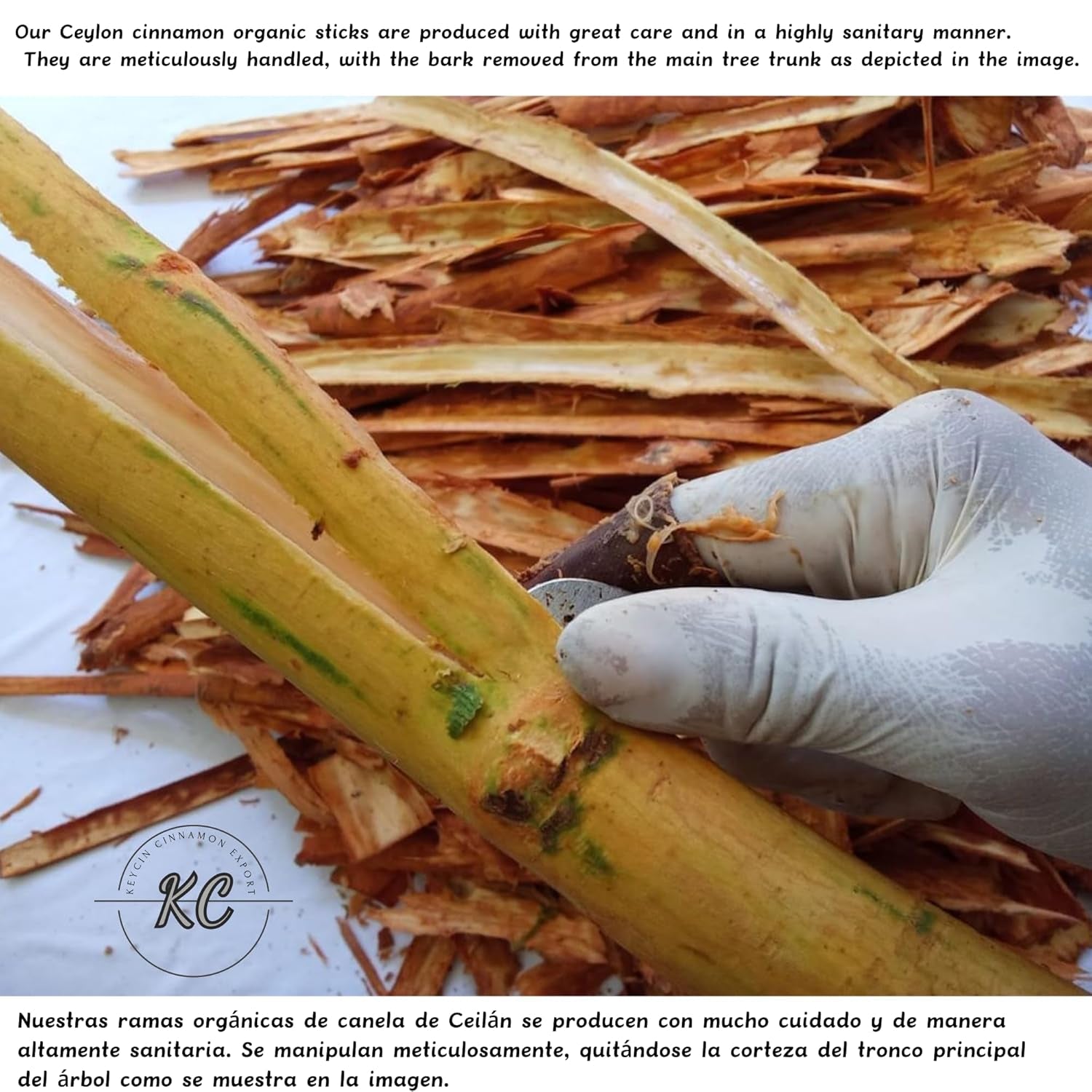 8-Ounce Premium Quality Organic Ceylon Cinnamon Sticks, 5-Inch Cinnamon Spice from Sri Lanka, True Cinnamon - Cinnamomum Verum. TLBH