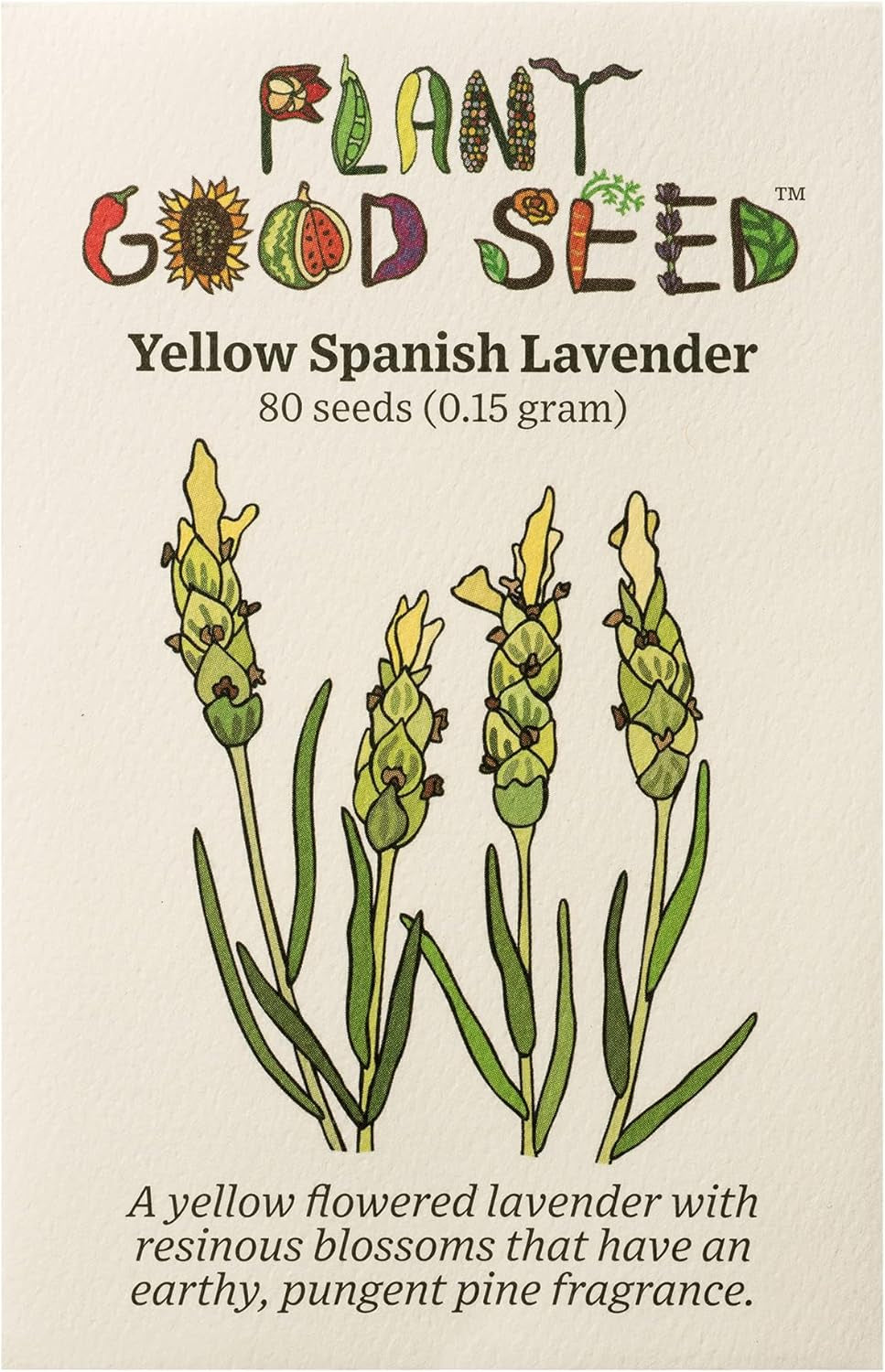 Blue Spear Lavender Seeds - Pack of 50, Heirloom Seeds for Planting Herbs, Flowers - Gardening Supplies, Wildflower, Herb Garden, Flower Seeds to Plant outside - from USA TLBH