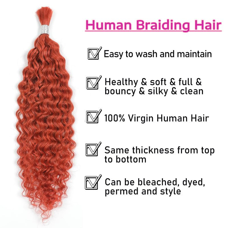 Human Braiding Hair 14Inch Water Wave Bulk Human Hair for Braiding 100G 2Bundle/Pack No Weft Human Hair Bundles for Braiding Micro Human Braiding Hair for Boho Braids(14Inch,350#)