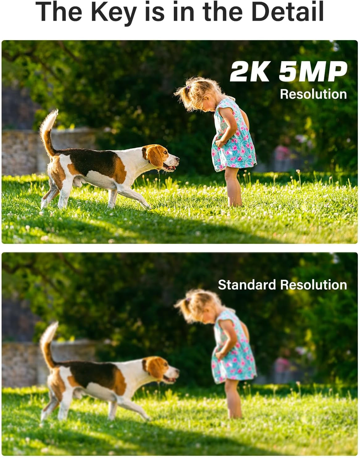 5MP Home Security Camera System with AI Human/Vehicle Detection, 8CH H.265+ DVR Recorder with 4X 5MP (2560TVL) Wired IP67 Outdoor CCTV Cameras, 100 Ft EXIR Night Vision with Smart IR & WDR TRUCK DRIVER