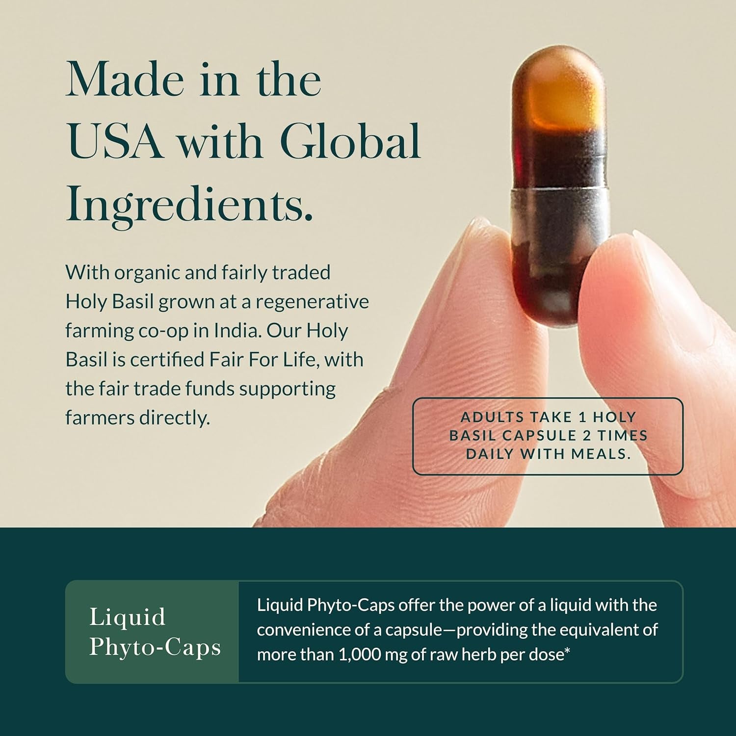 Holy Basil Leaf - Helps Sustain a Positive Mindset and Balance in Times of Stress - an Adaptogenic Ayurvedic Herb - 120 Vegan Liquid Phyto-Capsules (60-Day Supply) TLBH