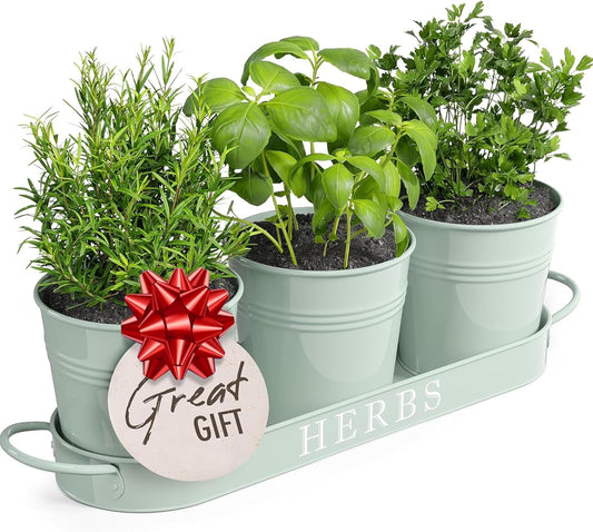 Indoor Herb Garden Planter Set with Tray, Metal Windowsill Plant Pots with Drainage for Outdoor or Indoor Plants, Set/3 (Soft Mint)