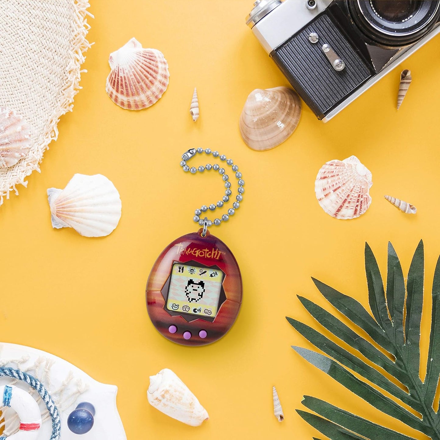 Original - Sunset ZOUSA