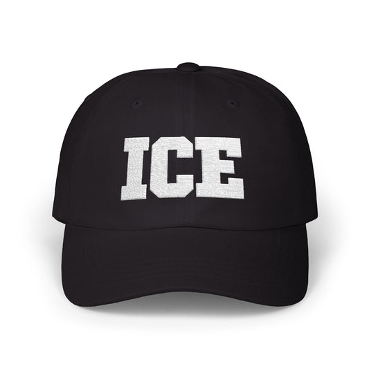 ICE IMMIGRATION CUSTOMS ENFORCEMENT EMBROIDERED HAT police baseball ball cap A32