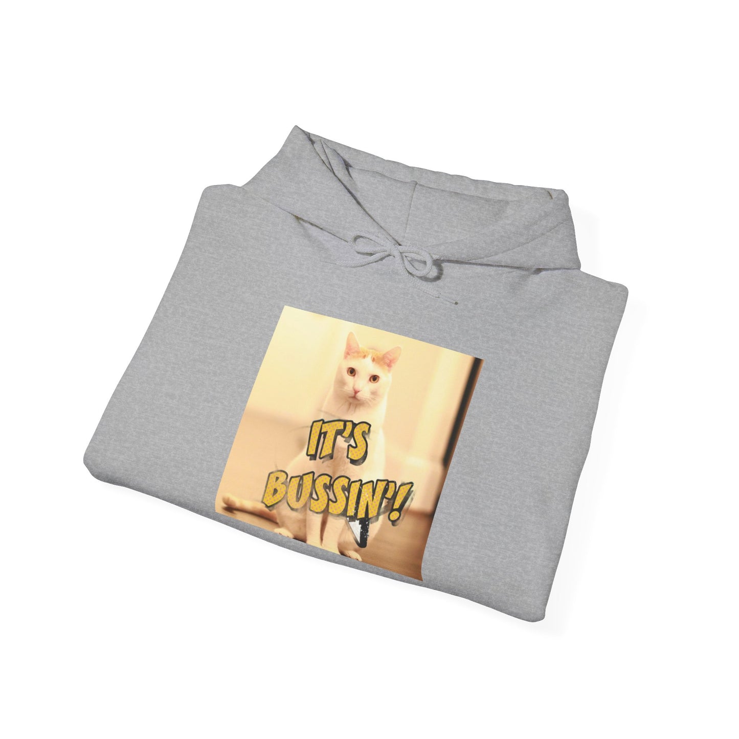 IT 'S BUSSIN CAT Unisex Heavy Blend™ Hooded Sweatshirt