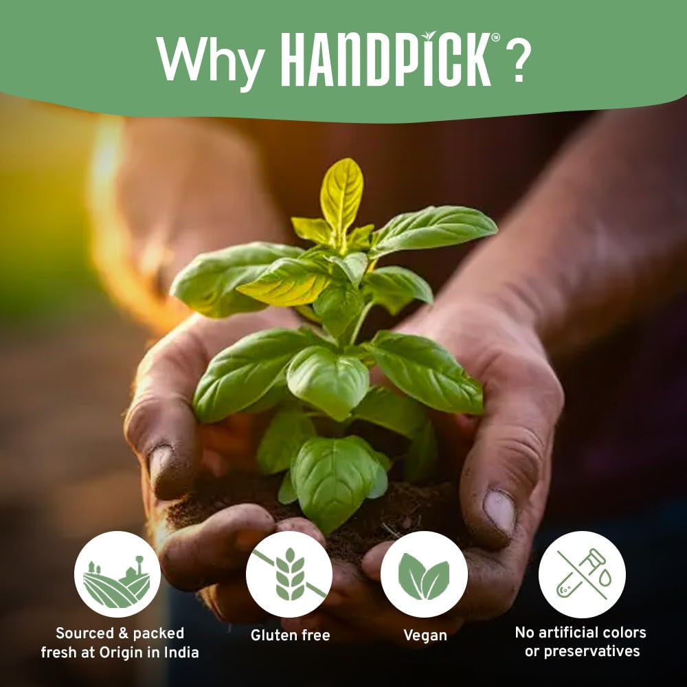 Holy Basil Tea Bags (100 Count) - Caffeine Free, Non-Gmo Tulsi Leaves - round Herbal Tea Bags TLBH