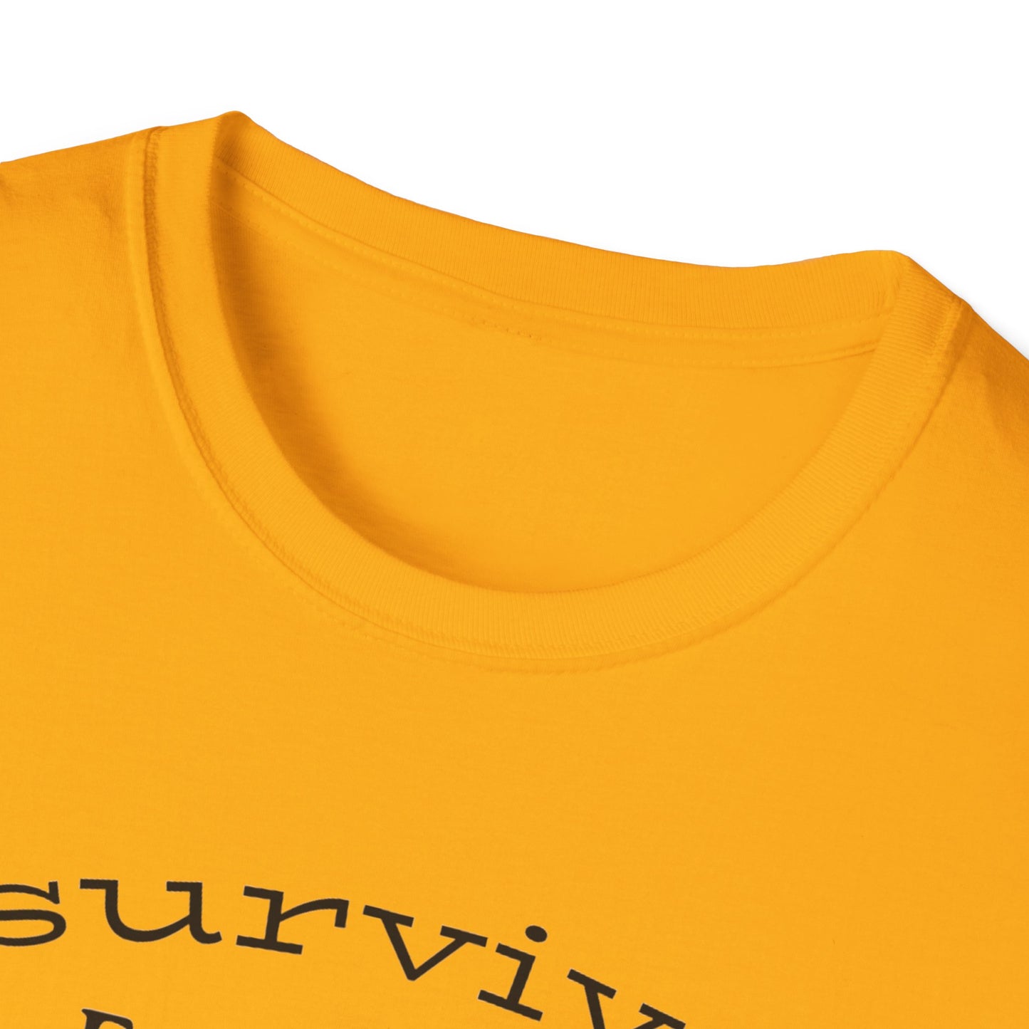 I survived Earthquake N. California December 5, 2024, Unisex Softstyle T-Shirt