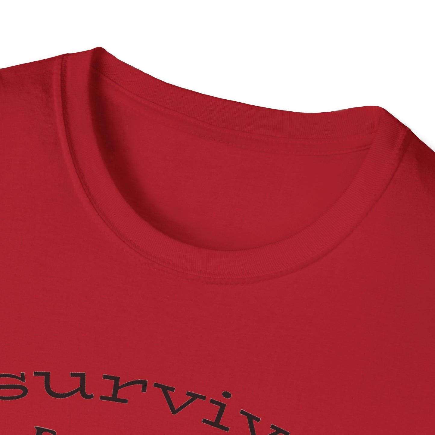 I survived Earthquake N. California December 5, 2024, Unisex Softstyle T-Shirt