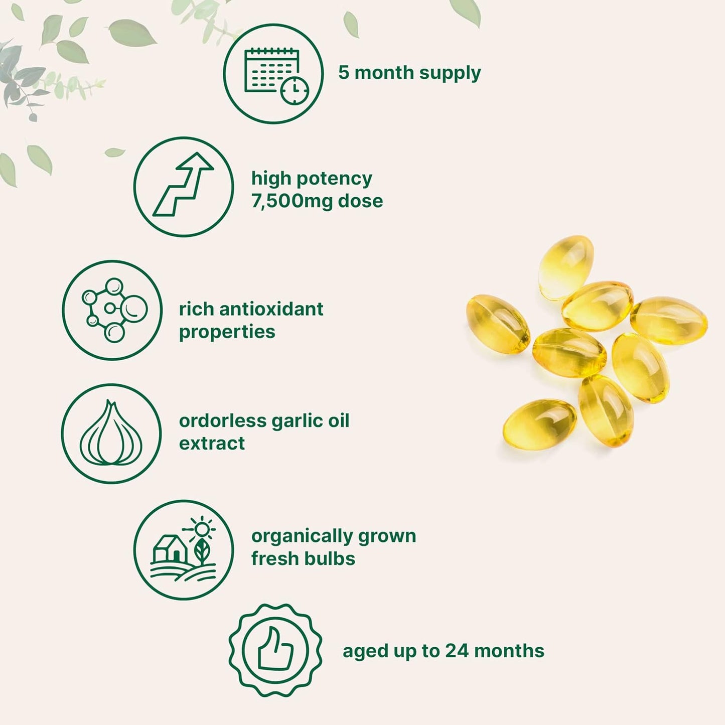 Odorless Garlic 7500Mg per Servings, 300 Softgels | 2 Years Aged Garlic Extract, Grown Allium Sativum Bulb | Potent Antioxidant Supplement, Immune Support, and Heart Health TLBH