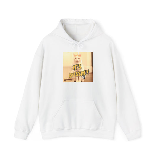 IT 'S BUSSIN CAT Unisex Heavy Blend™ Hooded Sweatshirt