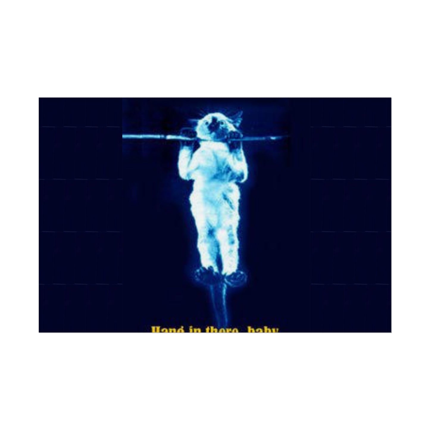 Rolled Posters - RANDY'S Hang in there Baby Wall Decor