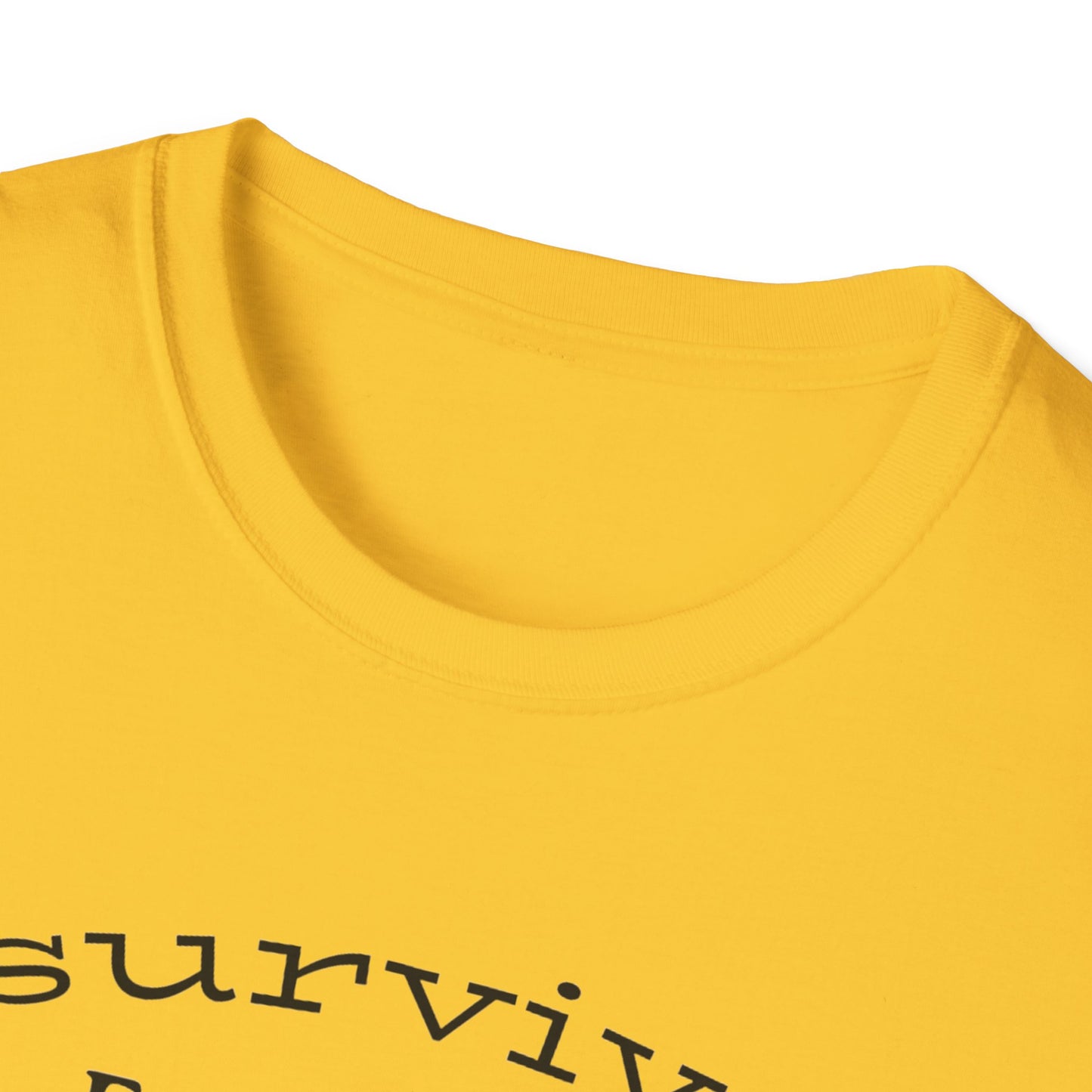 I survived Earthquake N. California December 5, 2024, Unisex Softstyle T-Shirt