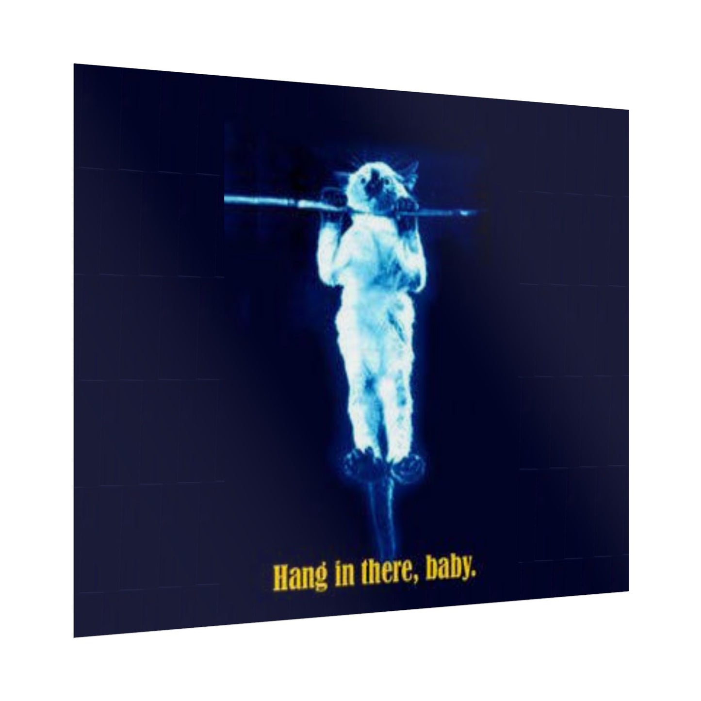 Rolled Posters - RANDY'S Hang in there Baby Wall Decor