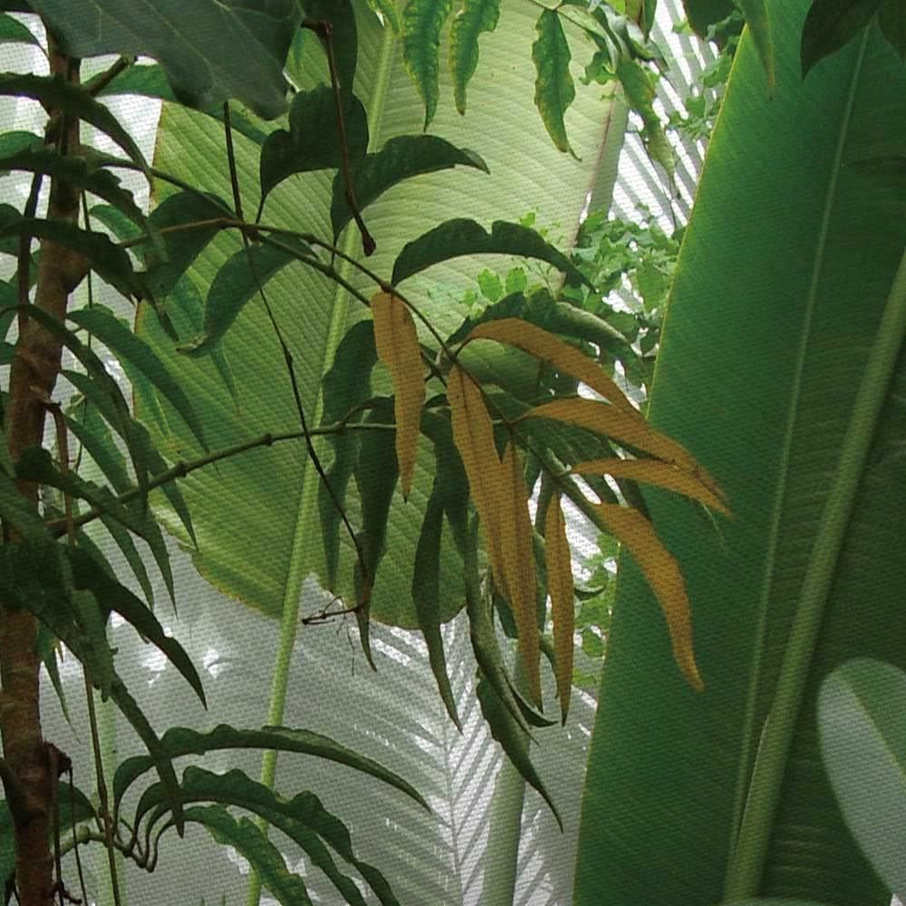 Green Plant Small Tapestry, Aesthetic Banana Palm Tree Leaves Tapestry Wall Hanging for Bedroom, Tropical Forest College Dorm Tapestry Home Decor (60" W X 40" H)