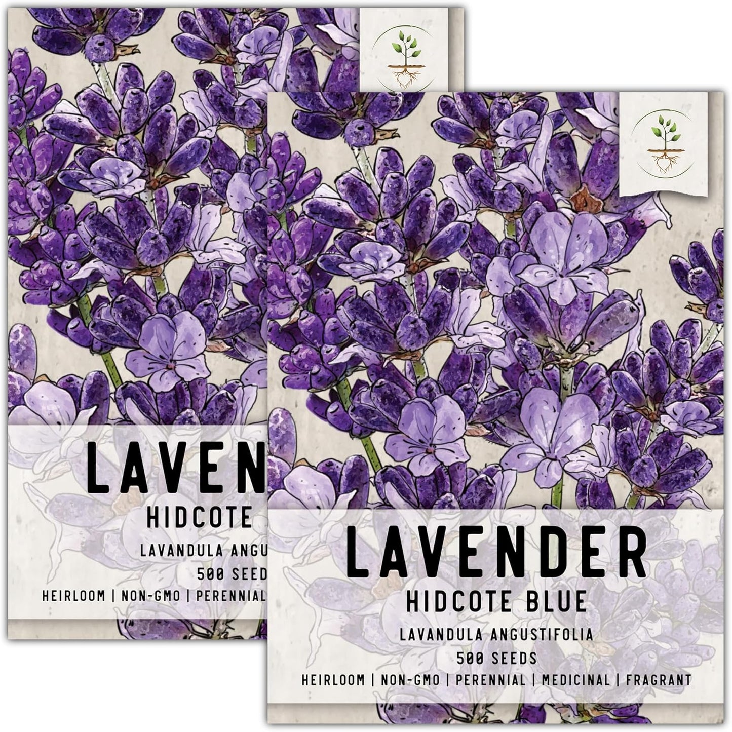 , Blue Hidcote Lavender Seeds - 500 Heirloom Seeds for Planting Lavandula Angustifolia - Fragrant Perennial Medicinal Herb for Outdoor Gardens (1 Pack) TLBH