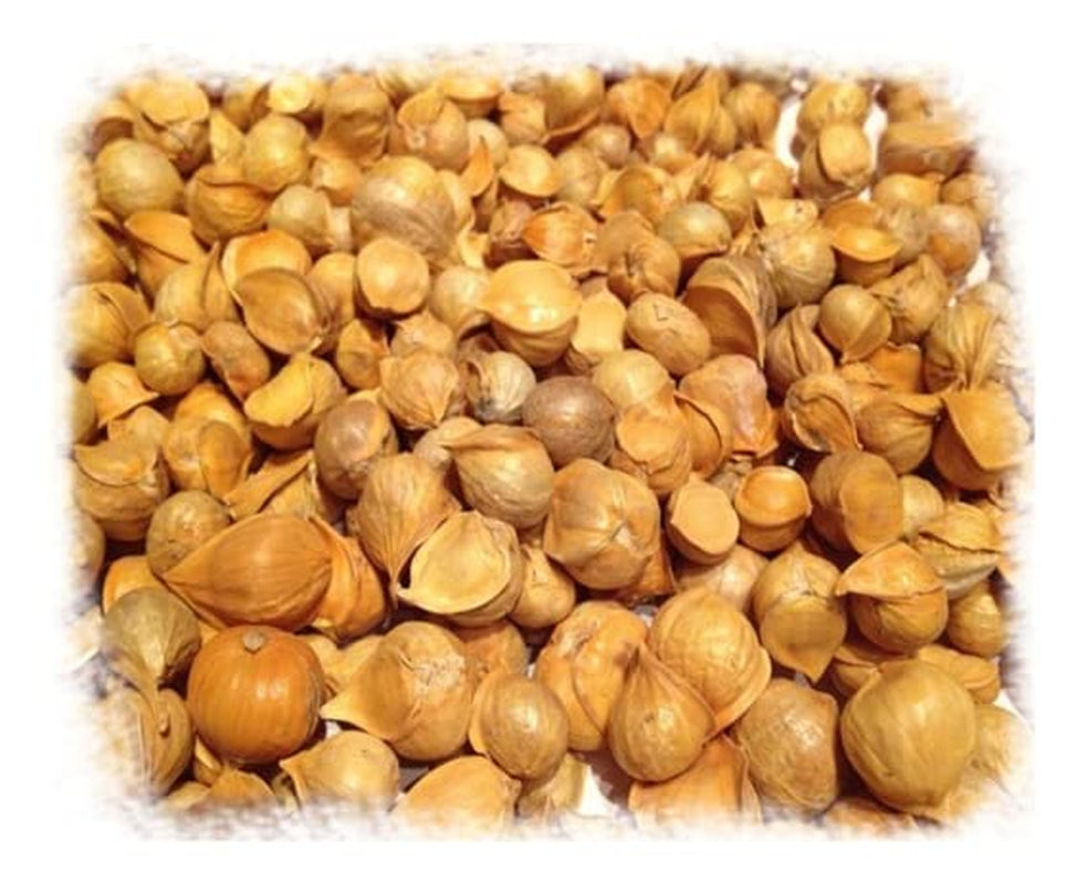 - Japanese Garlic | Ajo Japones ( Allium Sativum ) 780+ Garlic Cloves | 2 LB (915 Gr) | Premium Quality, Stand Alone Resealable Bag Keeps Garlic Always Fresh! Crafted by Nature100% All Natural Big Size Garlic Cloves TLBH