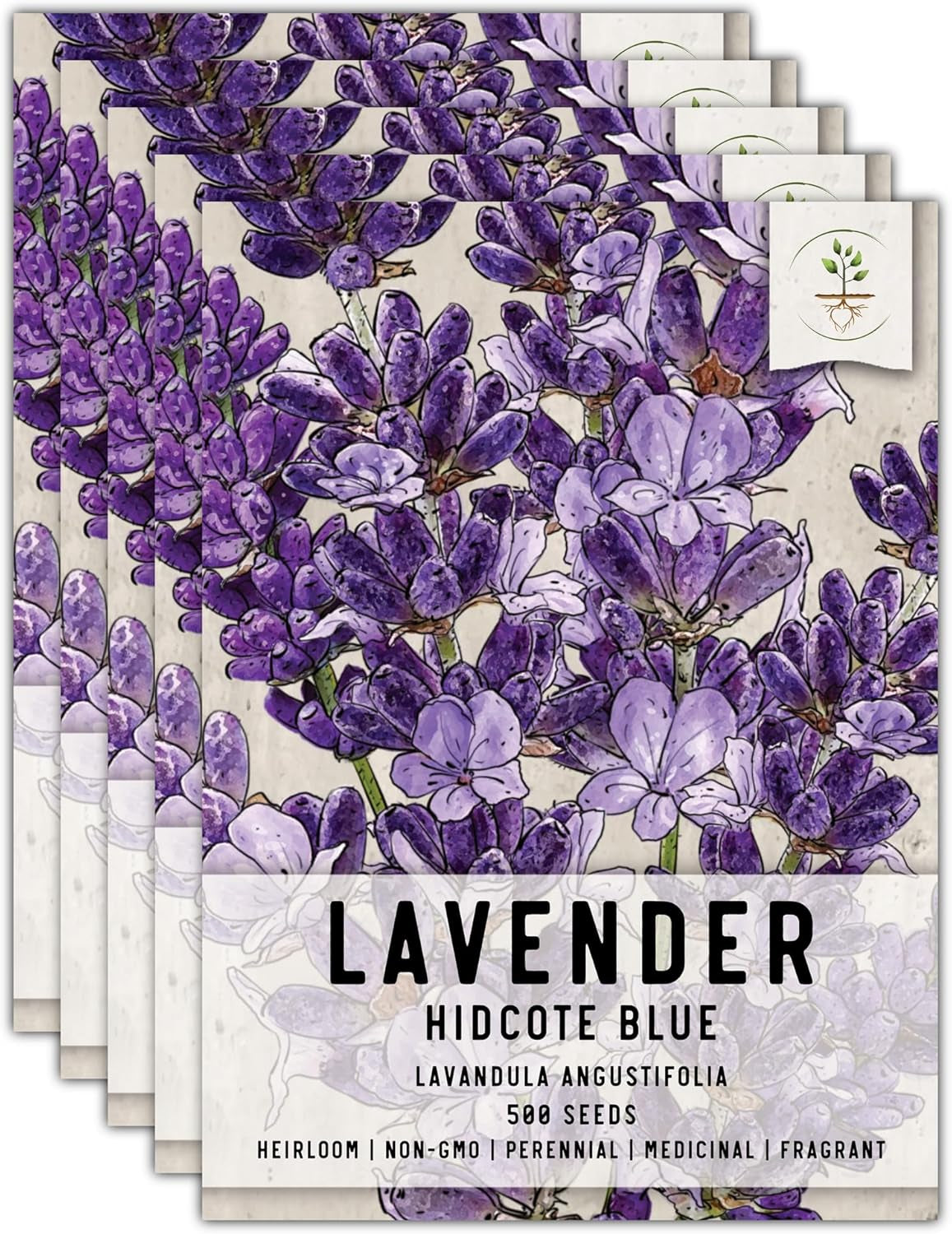 , Blue Hidcote Lavender Seeds - 500 Heirloom Seeds for Planting Lavandula Angustifolia - Fragrant Perennial Medicinal Herb for Outdoor Gardens (1 Pack) TLBH
