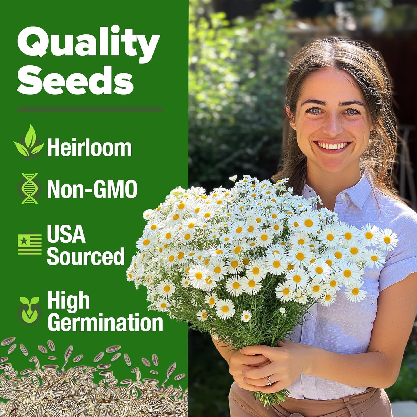 German Chamomile Seed Pack - 2280 Heirloom Chamomile Seeds for Planting Non-Gmo Herb Seeds for Creating a Sustainable Herb Garden for Medicinal Herbal Teas (Matricaria Chamomilla) TLBH