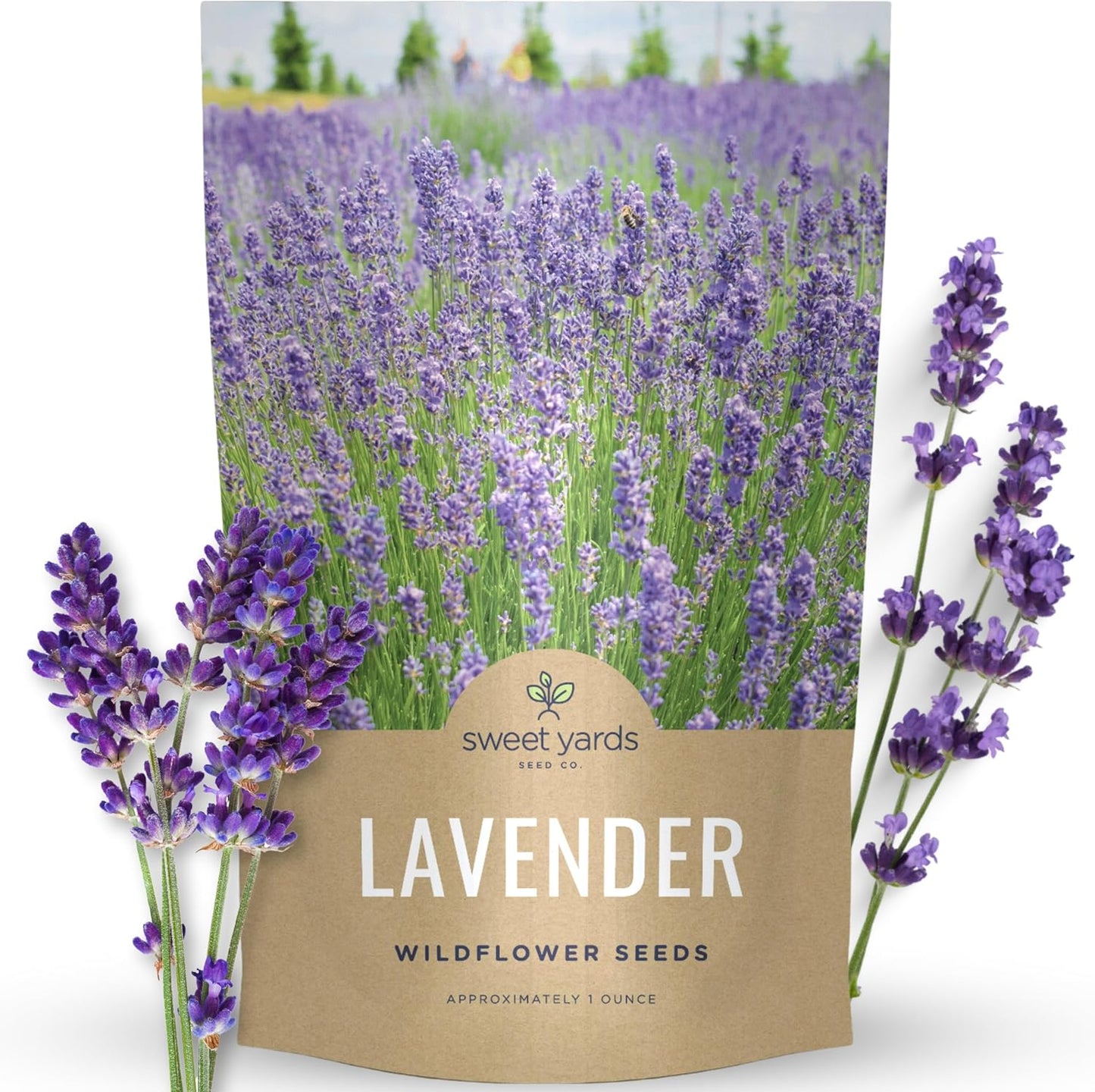 Lavender - Large 1/4 Ounce Packet - 7,000 Flower Seeds for Planting - Lavandula Angustifolia TLBH